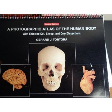 A Photographic Atlas of the Human Body 