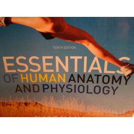 Essentials of Human Anatomy and Physiology  E. Marieb