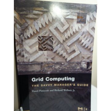 Grid Computing - The Savvy Manager's Guide 1st Edition 
