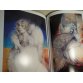 Susan Seddon Boulet - The Goddess Paintings, Paperback