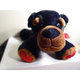 Cute VALENTINE XOXO PUPPY Plush Toy. 