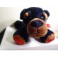 Cute VALENTINE XOXO PUPPY Plush Toy. 